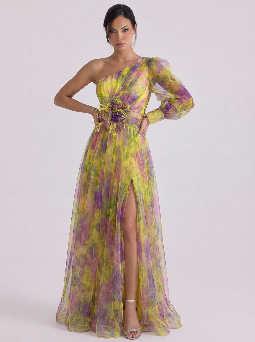 Lachlann | Tulle One-Shoulder Ombre Maxi Dress With Rosette Belt